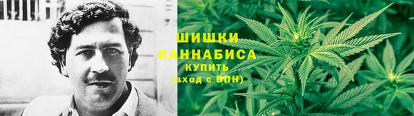 сатива Бикин