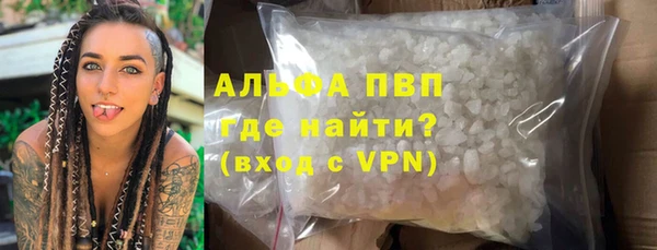 PSILOCYBIN Заволжье