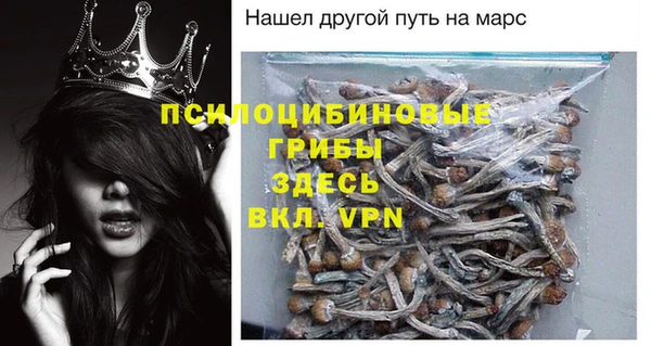 спиды Заводоуковск