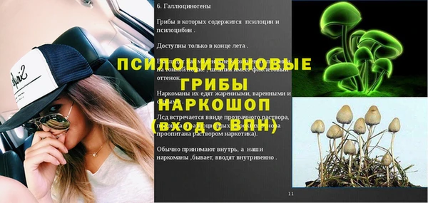 спиды Заводоуковск