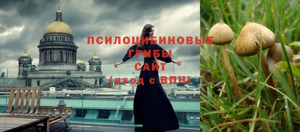 PSILOCYBIN Заволжье