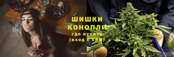 спиды Заводоуковск