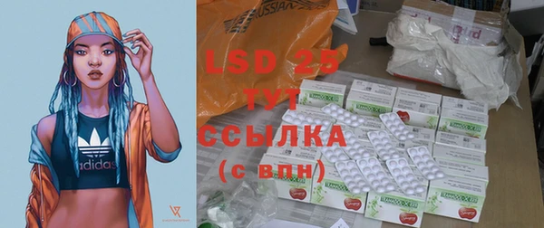 PSILOCYBIN Заволжье