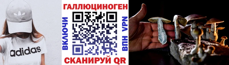 Галлюциногенные грибы Magic Shrooms  Заречный 