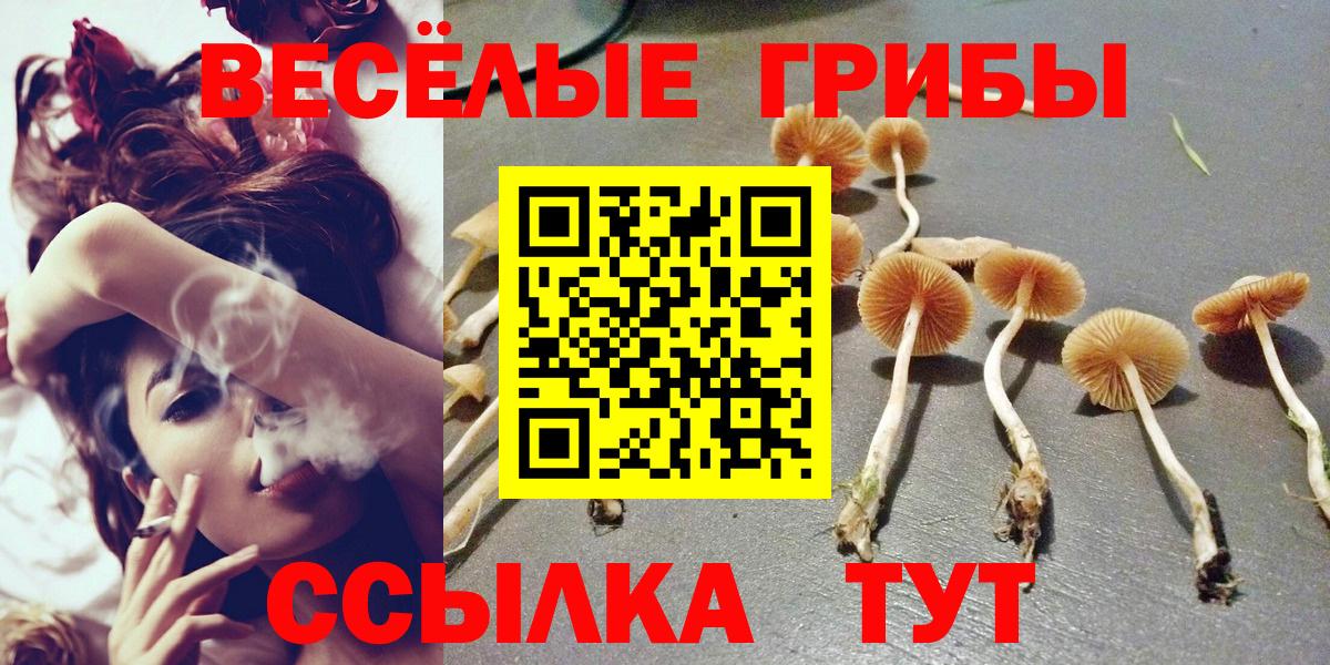 Псилоцибиновые грибы MAGIC MUSHROOMS Заречный