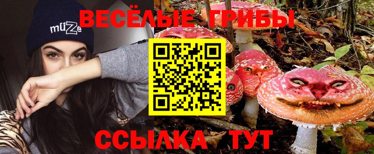 Галлюциногенные грибы мухоморы  Вход с VPN  Заречный 